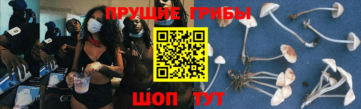 Кушва  Галлюциногенные грибы мухоморы  Вход с VPN 